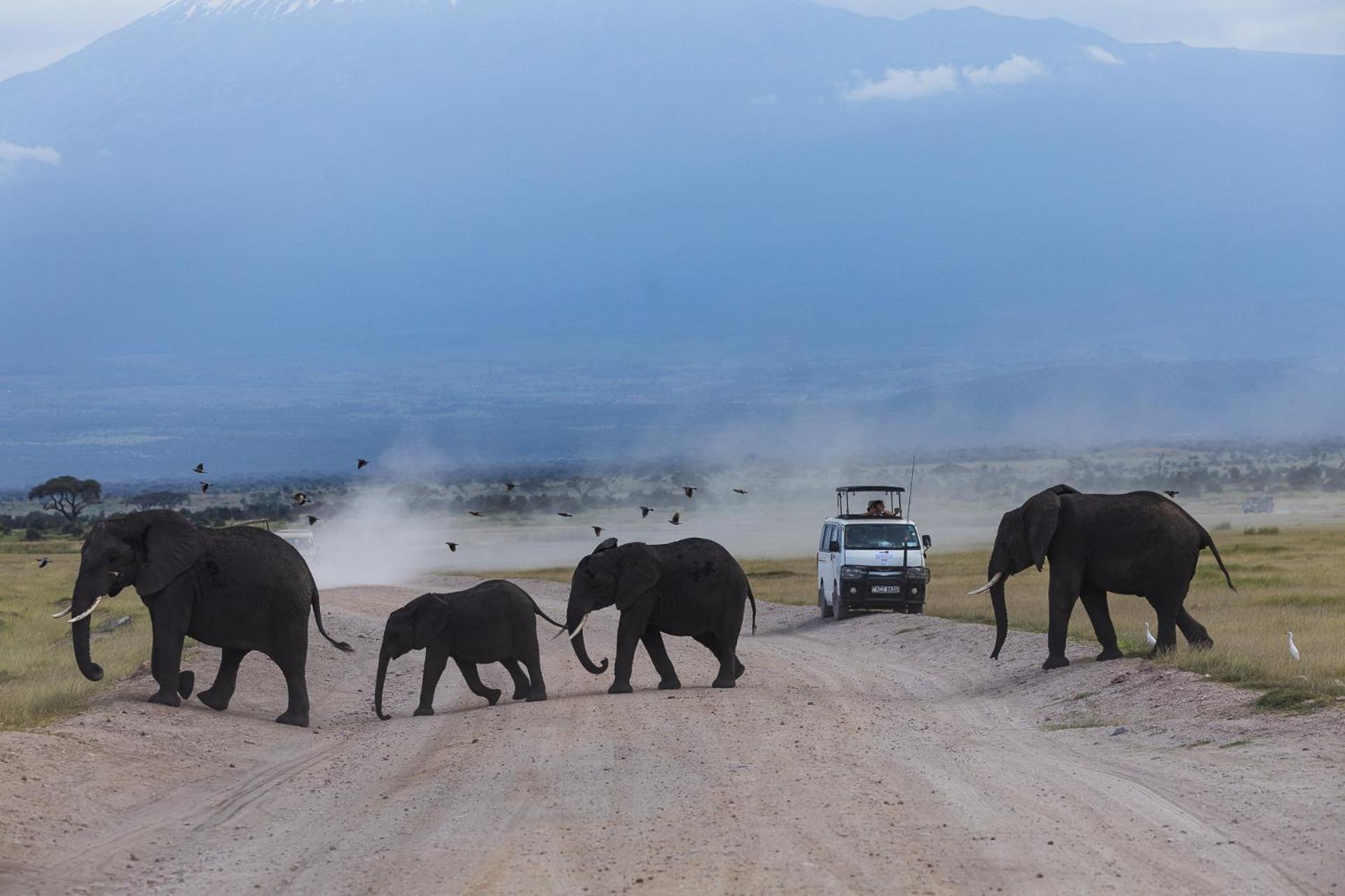 Kilimanjaro View Cabin-Amboseli Oloitokitok Chambre photo